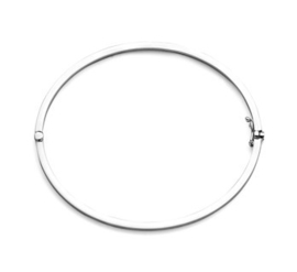 Witgouden Bangle Scharnier Vlakke Buis 61 x 2,0 mm