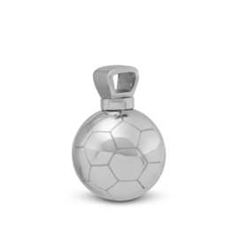 Assieraad Hanger van Zilver – Voetbal