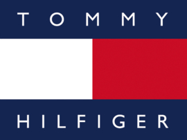 Goudkleurige Dames Oorbellen met Logo van Tommy Hilfiger TJ2780329