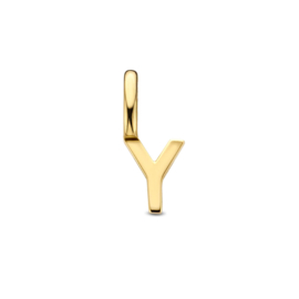 14K Geelgouden Hanger met Letter Y