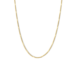 14K Geelgouden Collier met Valkenoog