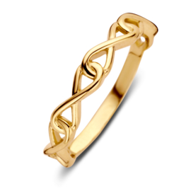 Excellent Jewelry Geelgouden Ring met Vier Infinity Tekens