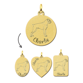 Gouden Hanger met Afbeelding Hond Dogo Argentino + Naam Graveren