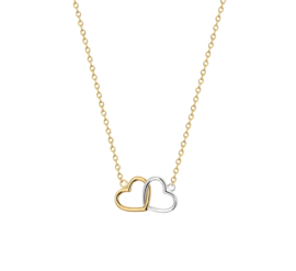 Bicolor Dubbel Hart Collier