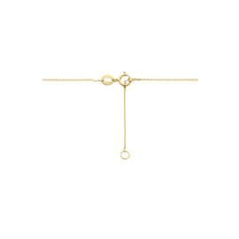 14k Geelgouden Collier met Rondje 0,8 mm 42 - 45 cm