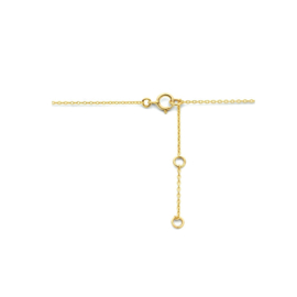 14K Geelgouden Collier met Zirkonia 1,0 mm