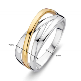 Excellent Jewelry Bicolor Diagonale Stroken Ring