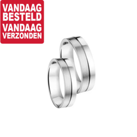 Edelstalen Relatiering (1 ring) / maat 19,5