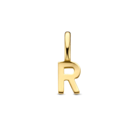 14K Geelgouden Hanger met Letter R