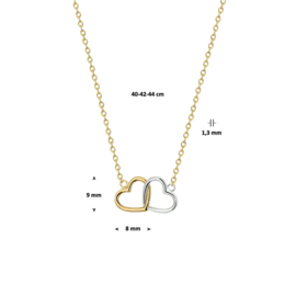 Bicolor Dubbel Hart Collier