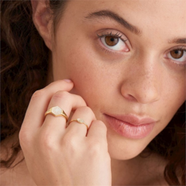 Ania Haie Wild Soul Goudkleurige Ring met Decoratief Parelmoer