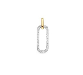 Bicolor Hanger Diamant 0.09ct H SI