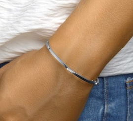 Bangle scharnier vlakke buis 58 x 2,5 mm