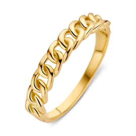 Excellent Jewelry Opengewerkte Schakel Ring van Geelgoud
