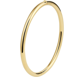 Geelgouden Bangle Armband van 4mm met Zilveren Kern