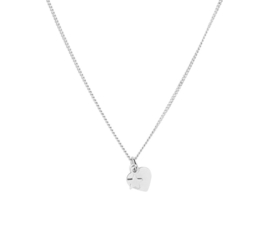 Zilveren Collier met Hart en Ster met Rhodium