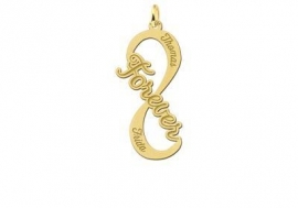 Names4ever Forever Infinity Hanger van Goud - Graveer Sieraad