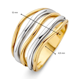 Excellent Jewelry Gouden Lijnen Ring met Witgoud
