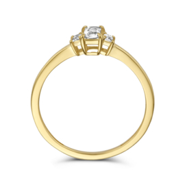Gouden Ring met Rechthoekige Zirkonia’s