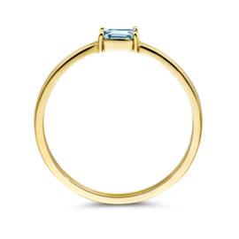 Gouden Ring met Geboortesteen December Topaas