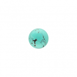 Turquoise Groen Edelsteen Insignia Munt van 14mm
