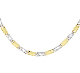 Bicolor Goud Collier Valkenoog 4,3 mm 50 cm