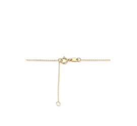 Gouden Sleutel Collier voor Dames