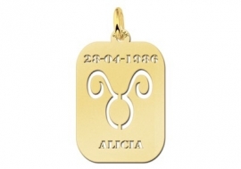 Names4ever Astrologie Stier Goud Hanger in Goud GHS002