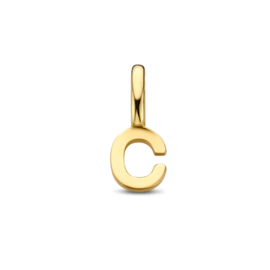 14K Geelgouden Hanger met Letter C