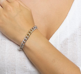 Gourmet Schakelarmband van Zilver met Goud