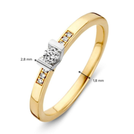 Excellent Jewelry Vlakke Geelgouden Ring met Witgouden V-vorm