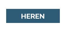 heren sieraden