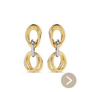 Excellent Jewelry Bicolor Gouden Oorstekers