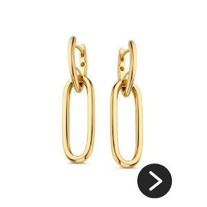 Excellent Jewelry Gouden Oorringen Schakel