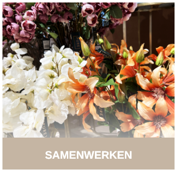 Samenwerken