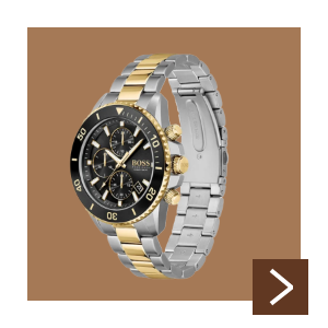 BOSS ADMIRAL Tweekleurig Stalen Herenhorloge HB1513908