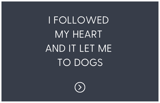 I followed my heart and it let me to dogs