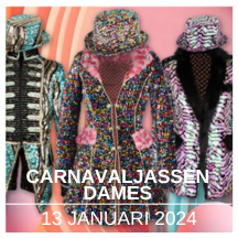 Carnaval jassen dames