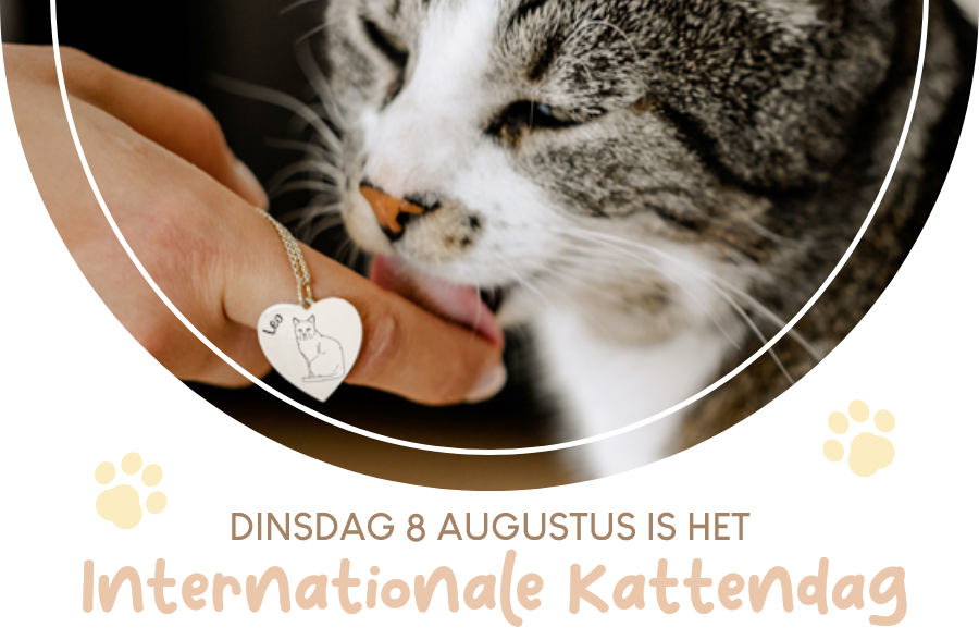 Internationale Kattendag