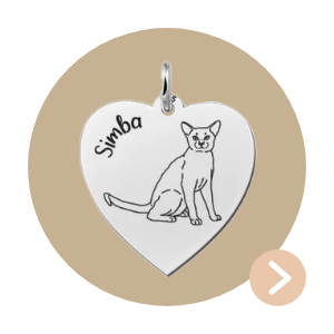 Abessijn Kattenhanger Zilver + Naam Graveren
