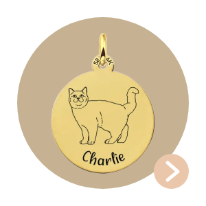Gepersonaliseerde Gouden Kattenhanger Britse Korthaar