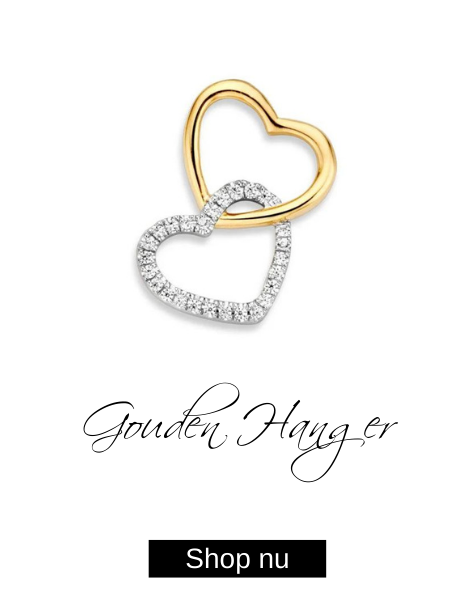 Excellent Jewelry Dubbel Hartvormige Hanger van Witgoud met Geelgoud