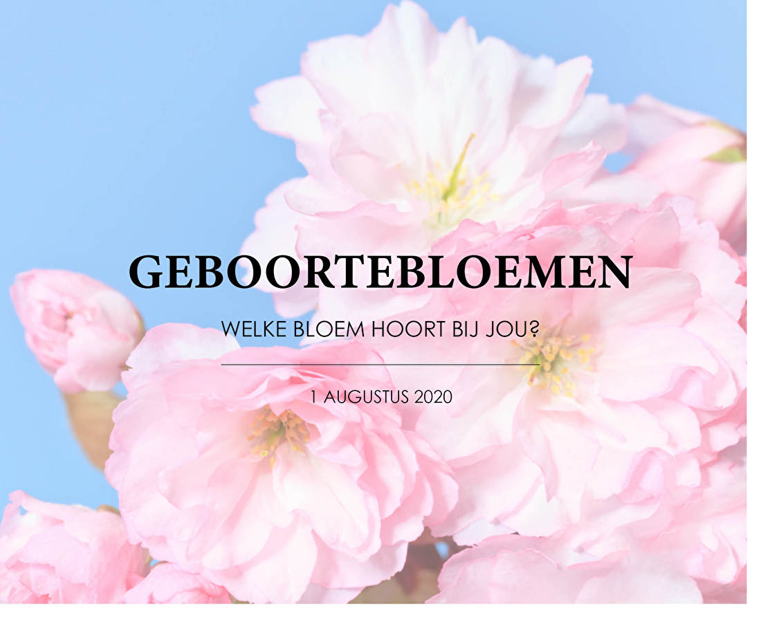 GEBOORTEBLOEMEN Welke bloem hoort bij jou?