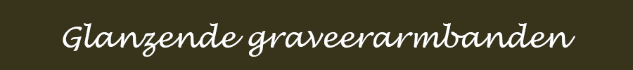 NIEUWSBRIEF-...S4EVER-AFB11.jpg