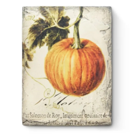 T619 Sid Dickens tegel Pumpkin