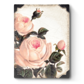 T464 Gentle Rose Sid Dickens Tegel @