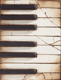 T 045 Piano Keys Sid Dickens tegel bij Jolijt
