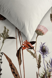 Ambiante dekbedovertrek Dry Flowers - 155 x 220 cm - Multi 254766 &