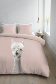 Ambiante dekbedovertrek Alpaca - 155 x 220 cm - Peach 254811 &