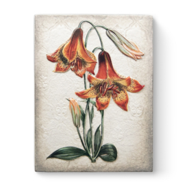 Sid Dickens tegel Tiger Lilies T551